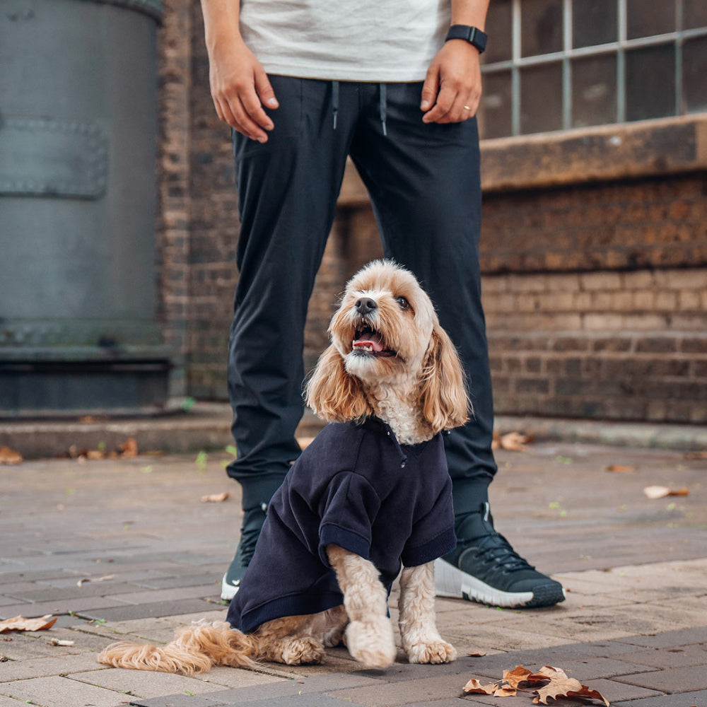 Winter Dog Hoodies - Navy Blue