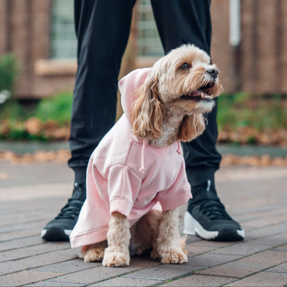 Winter Dog Hoodies - Pink