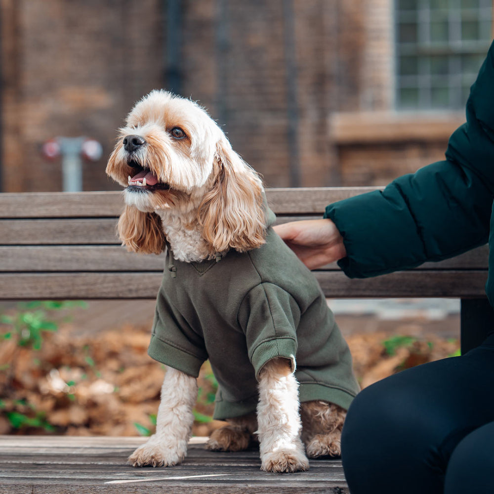 Winter Dog Hoodies - Khaki