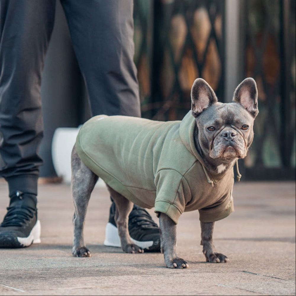 Winter Dog Hoodies - Khaki