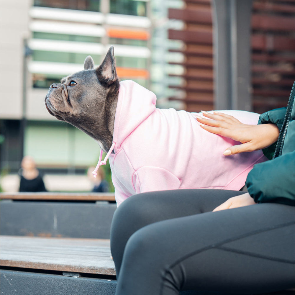 Winter Dog Hoodies - Pink