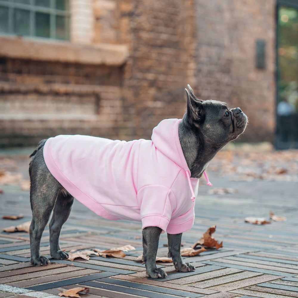Winter Dog Hoodies - Pink