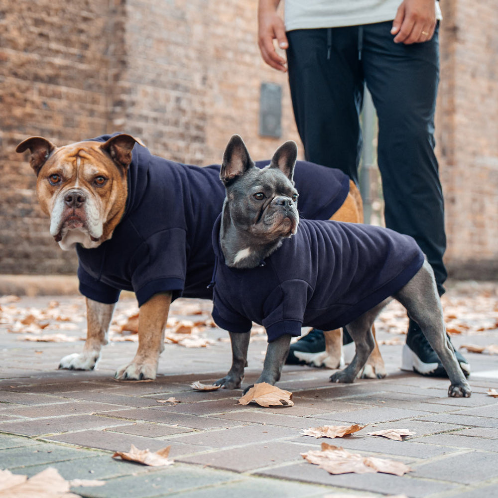 Winter Dog Hoodies - Navy Blue