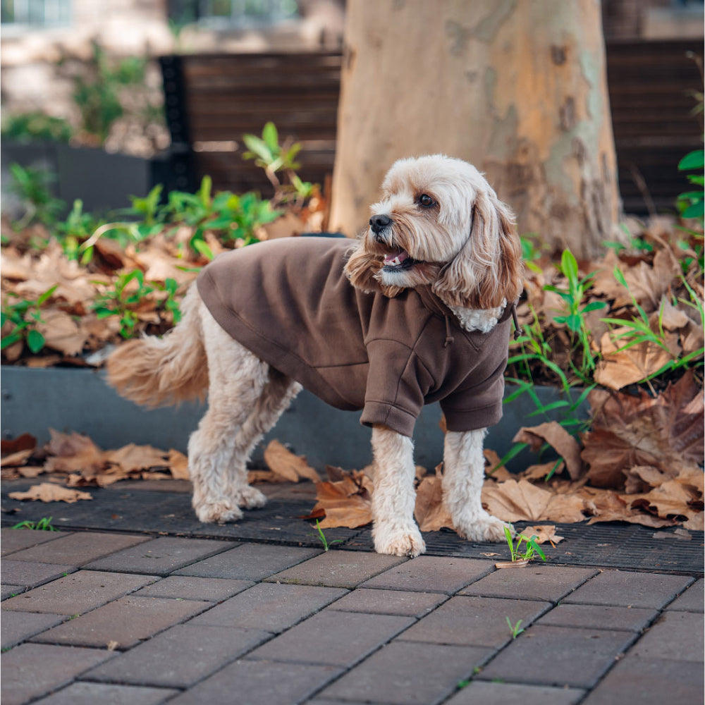 Winter Dog Hoodies - Brown