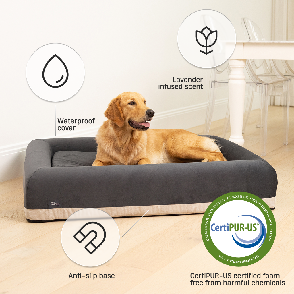Premium Orthopedic Memory Foam Dog Bed - Charcoal (Large)