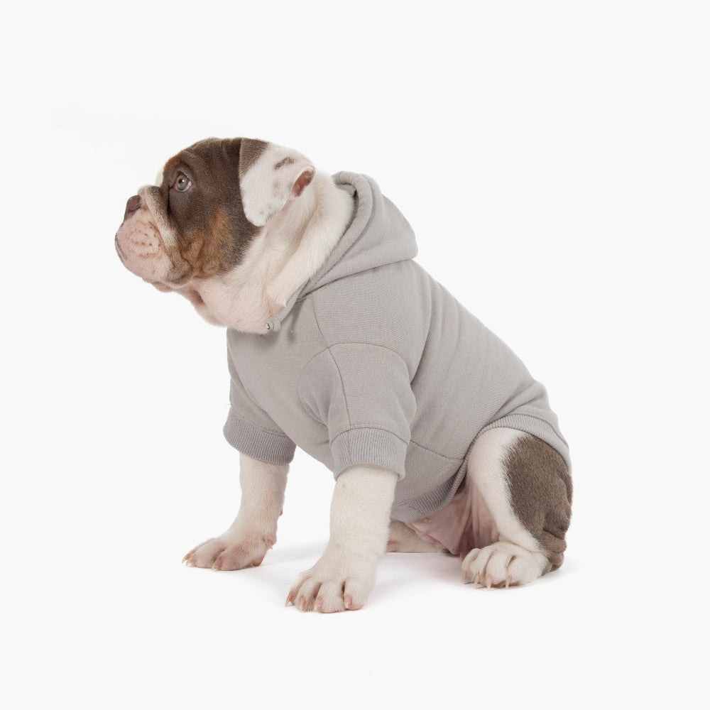 Winter Dog Hoodies - Grey