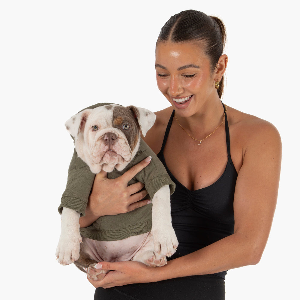 Winter Dog Hoodies - Khaki