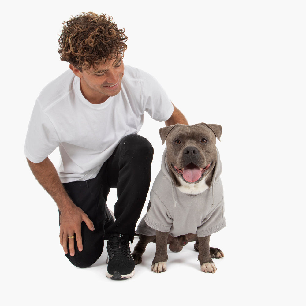 Winter Dog Hoodies - Grey
