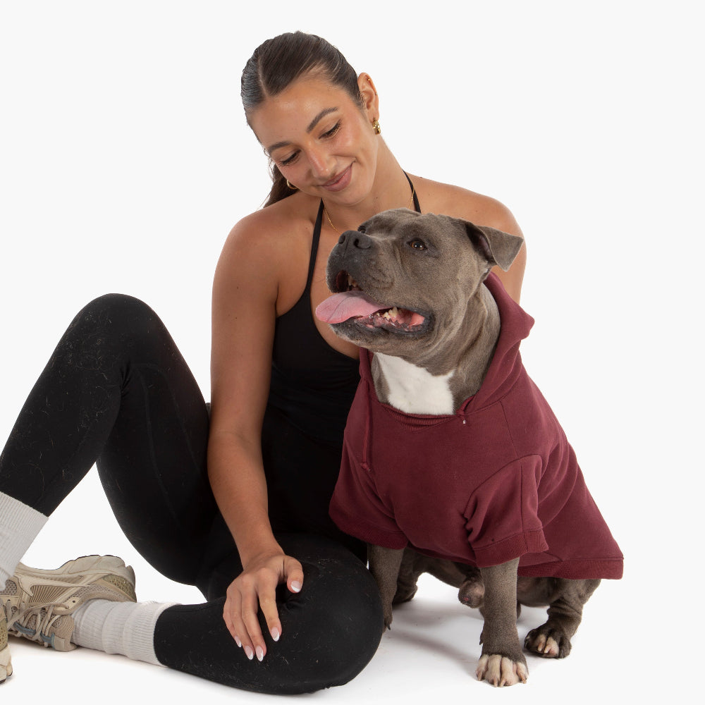 Winter Dog Hoodies - Maroon