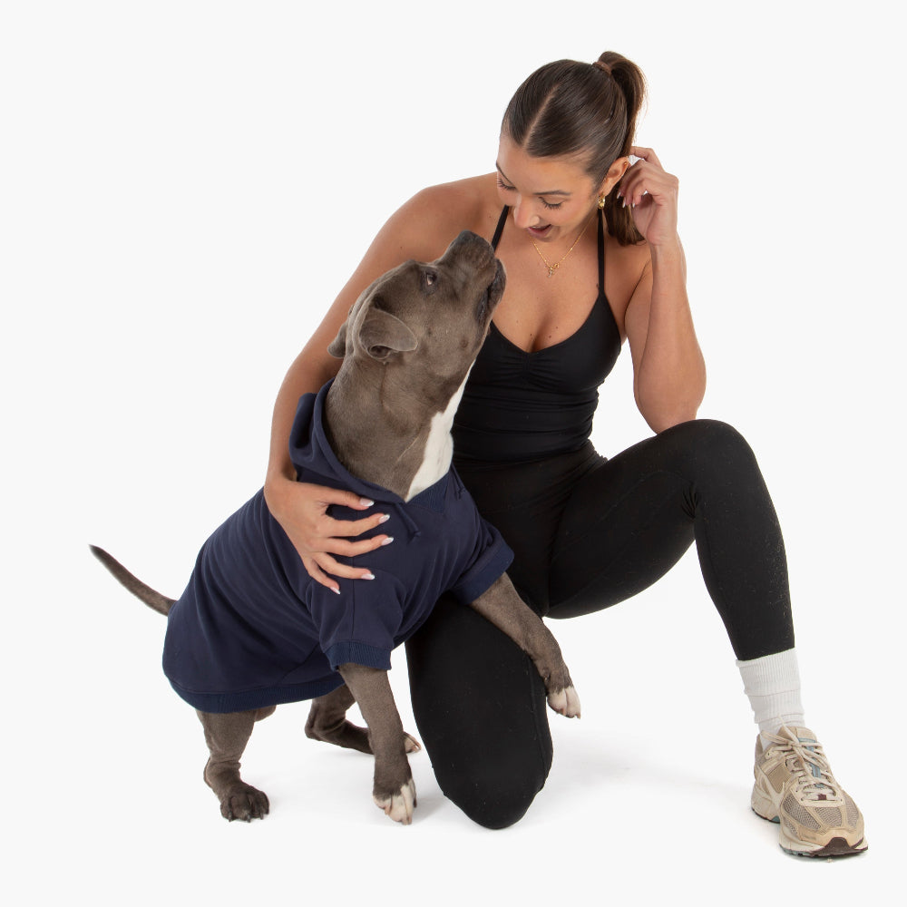 Winter Dog Hoodies - Navy Blue