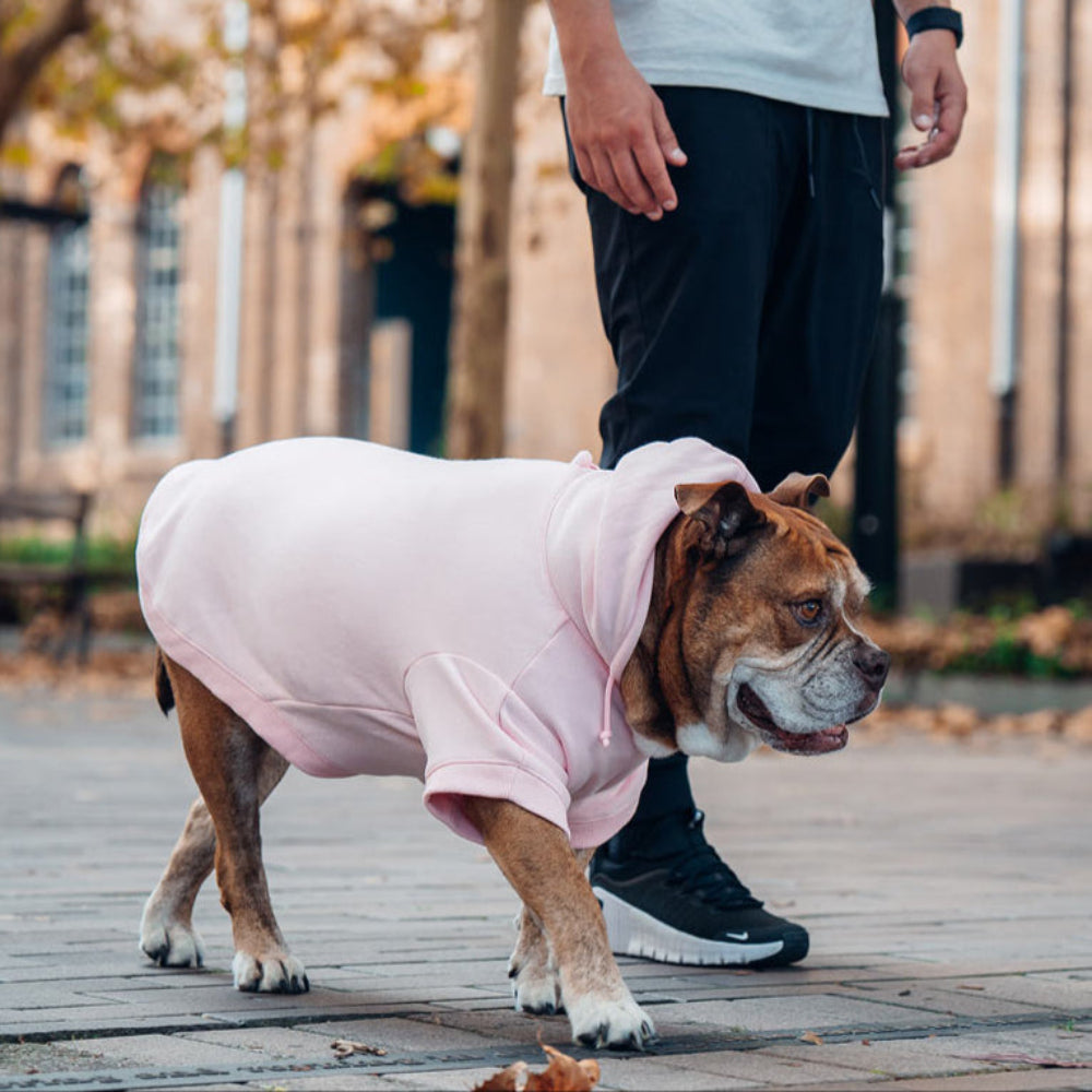 Winter Dog Hoodies - Pink