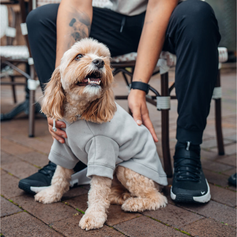 Winter Dog Hoodies - Grey