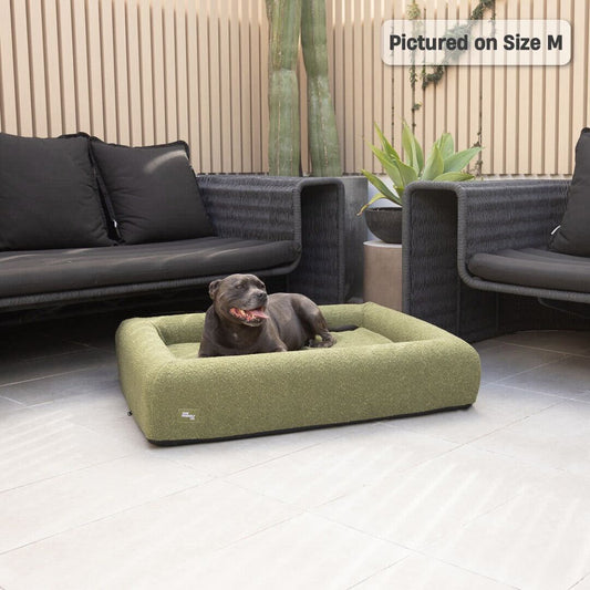 Premium Orthopedic Memory Foam Dog Bed - Green Bouclé (Small)