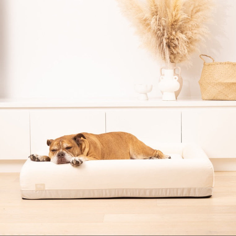 Premium Orthopedic Memory Foam Dog Bed - Beige (Medium)