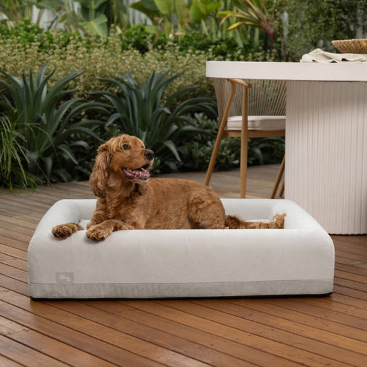 Premium Orthopedic Memory Foam Dog Bed - Grey (Medium)