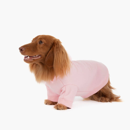 Winter Dog Hoodies - Pink
