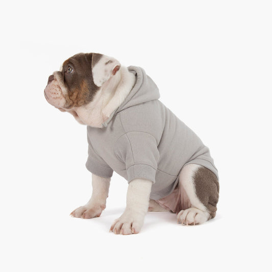 Winter Dog Hoodies - Grey