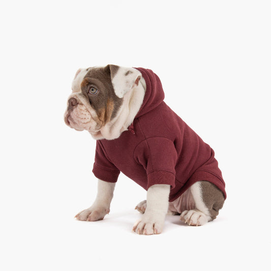 Winter Dog Hoodies - Maroon
