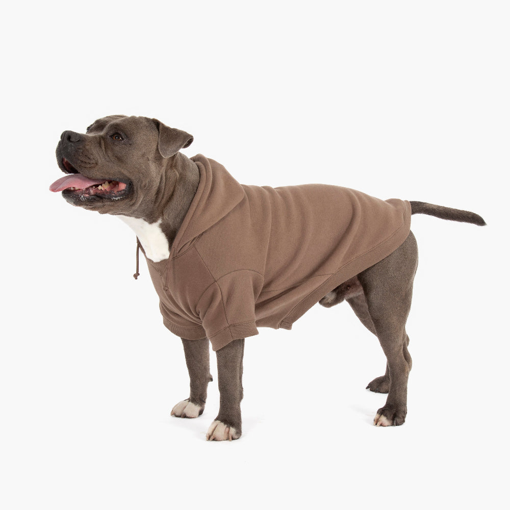 Winter Dog Hoodies - Brown