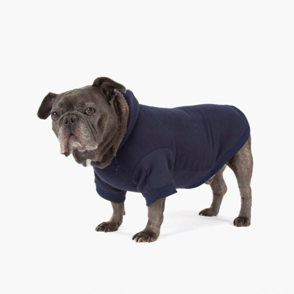 Winter Dog Hoodies - Navy Blue