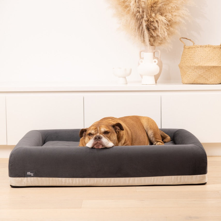 Premium Orthopedic Memory Foam Dog Bed - Charcoal (Medium)