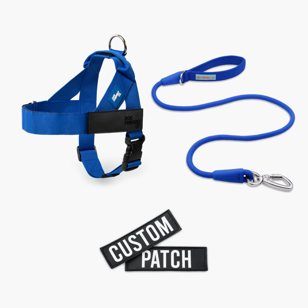 Signature Kit - Classic Blue