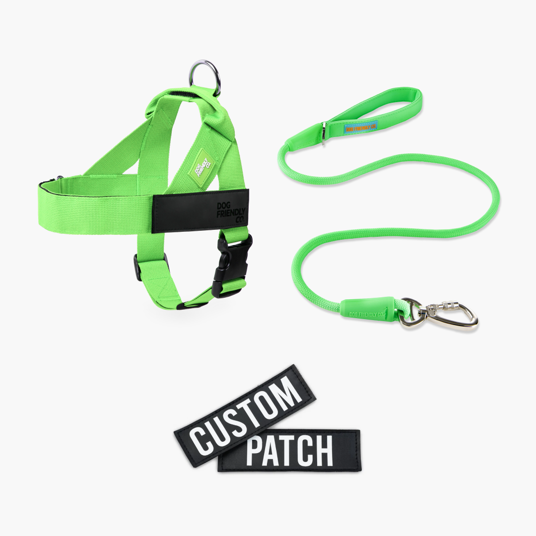 Signature Kit - Neon Green