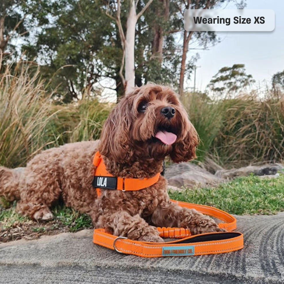 Signature Kit - Orange