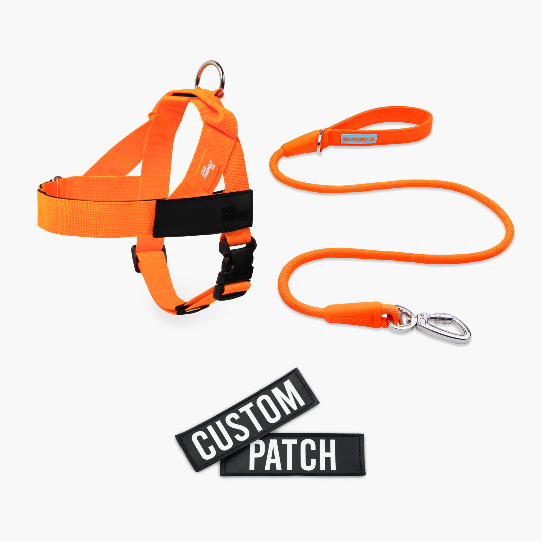 Signature Kit - Orange