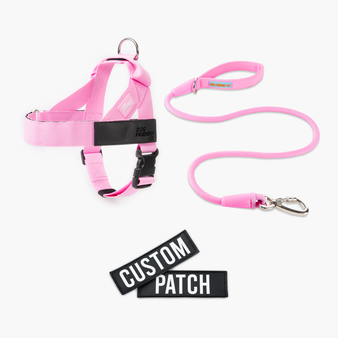 Signature Kit - Pink
