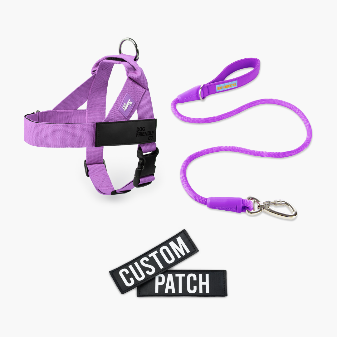 Signature Kit - Purple