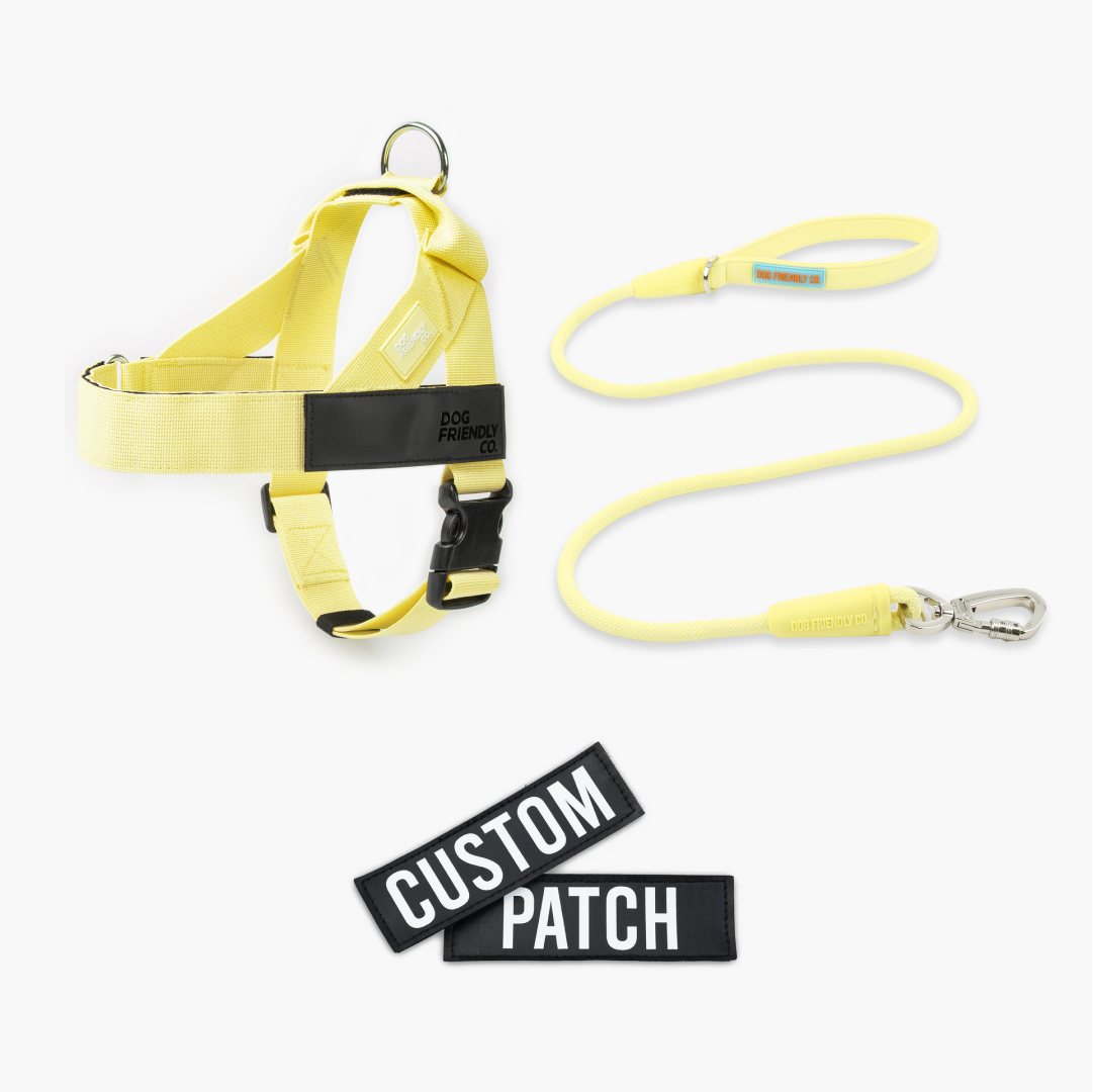 Signature Kit - Yellow